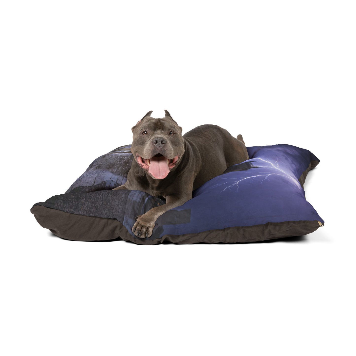 Estrela Mountain Dog Pet Bed