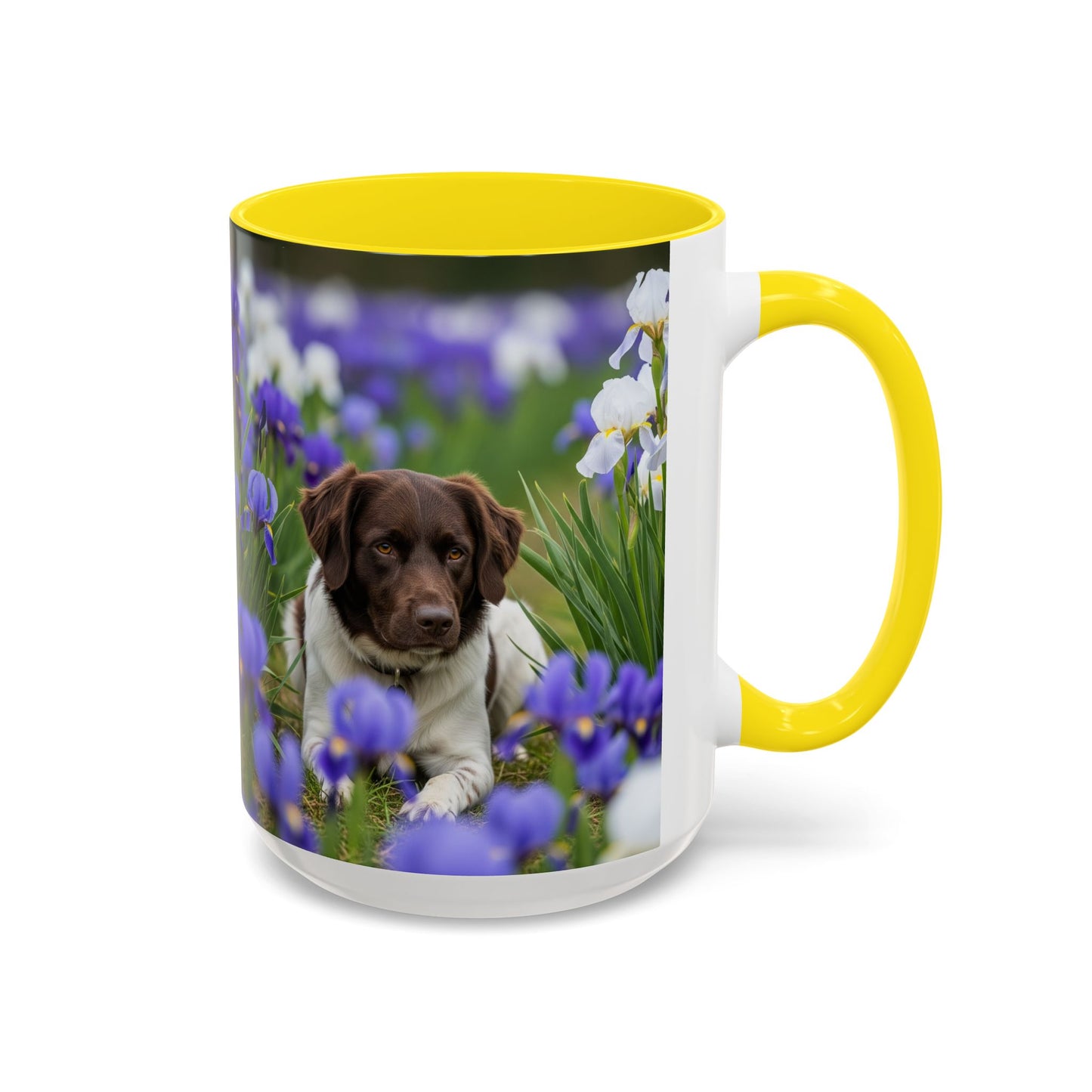 Mug Stabyhouns Accent - Cadeau idéal pour les amoureux des chiens