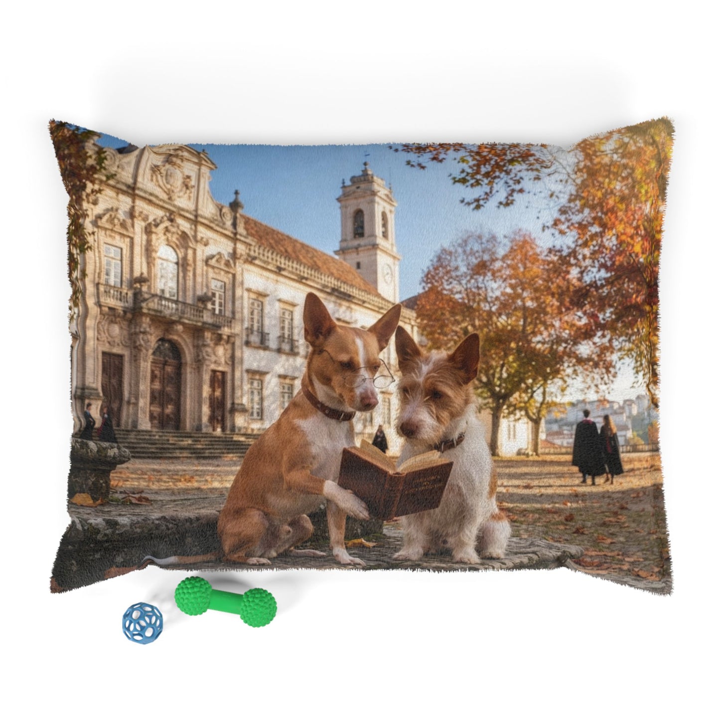 Portuguese Podengo Pet Bed