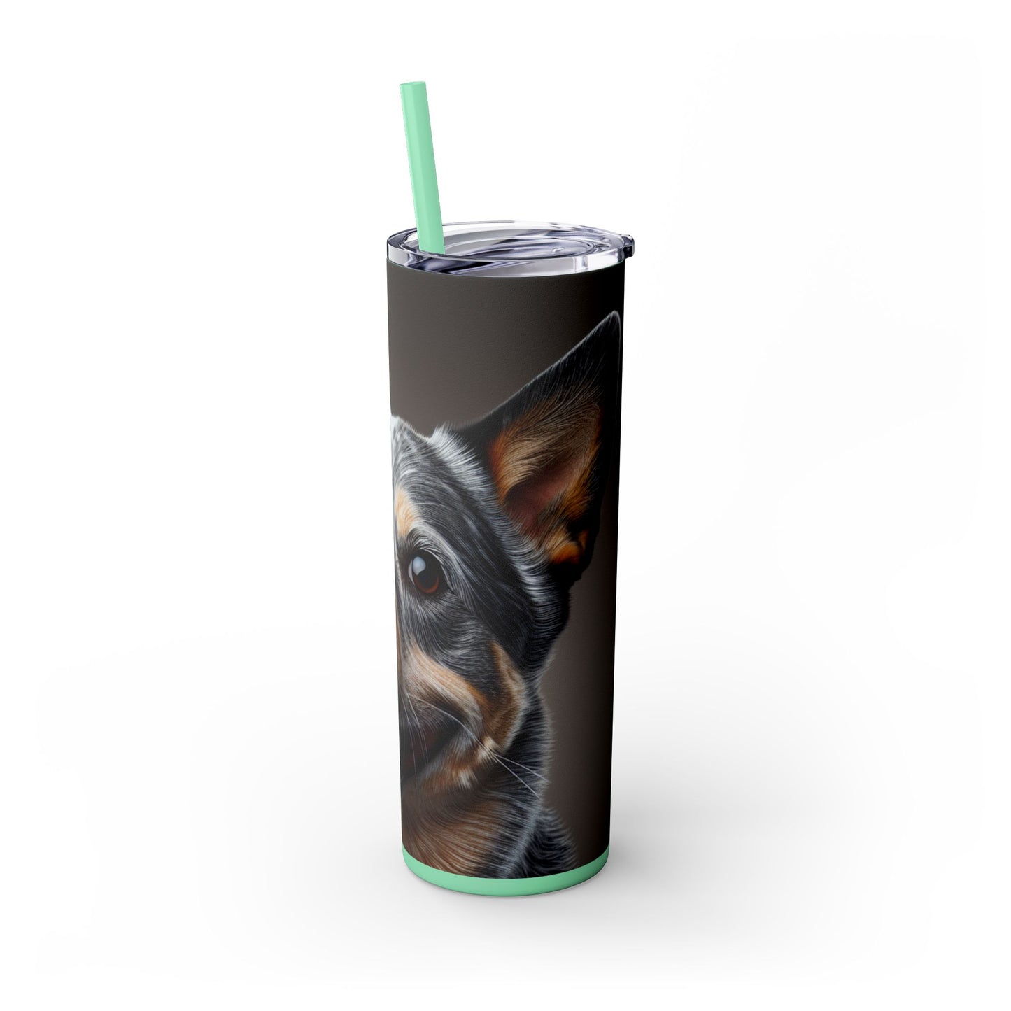 Australian Cattle Dog Tumbler with Straw, 20oz