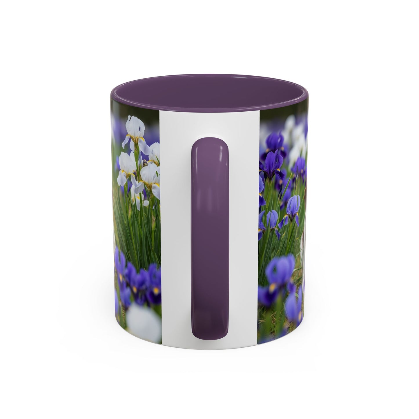 Mug Stabyhouns Accent - Cadeau idéal pour les amoureux des chiens