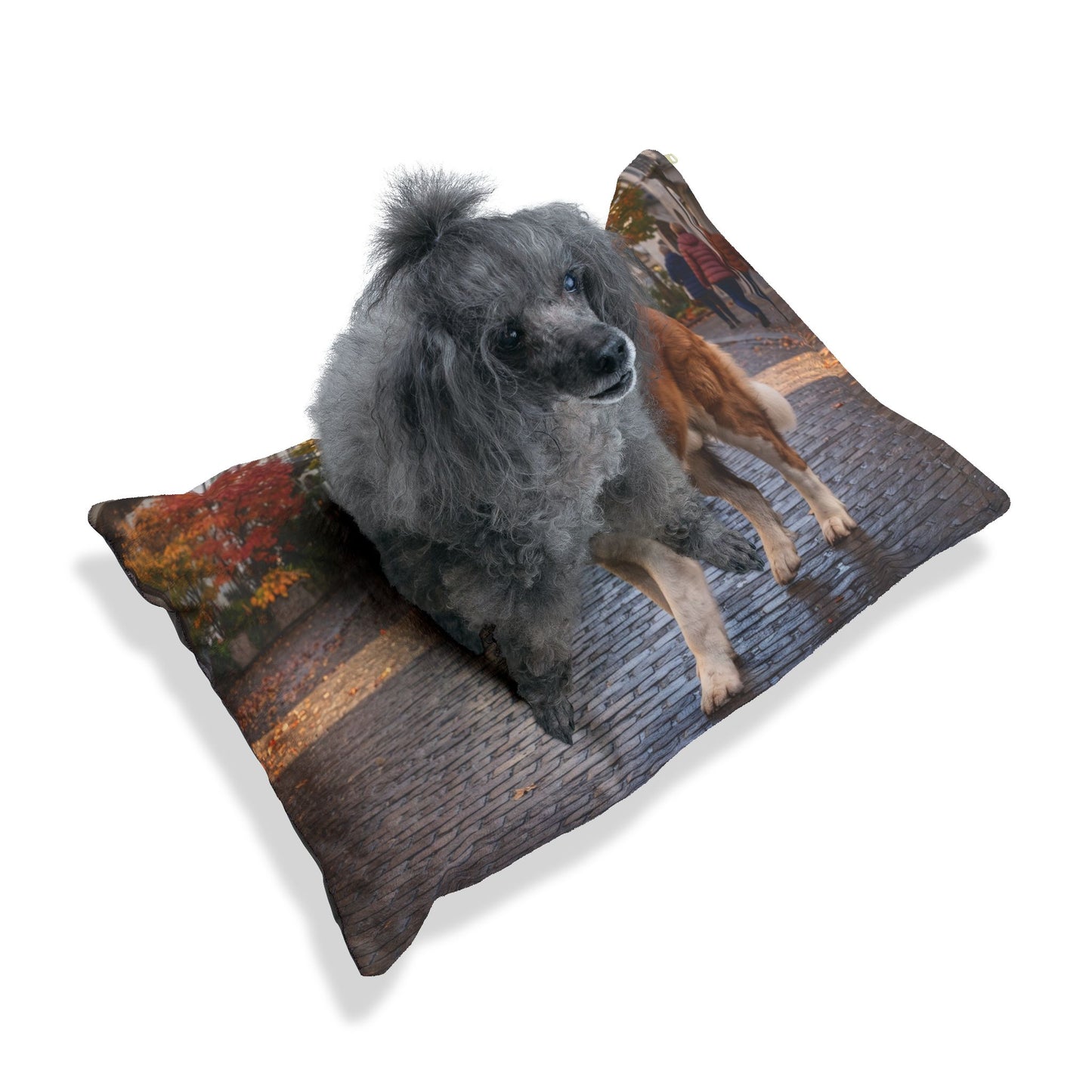 Saint Bernard Pet Bed