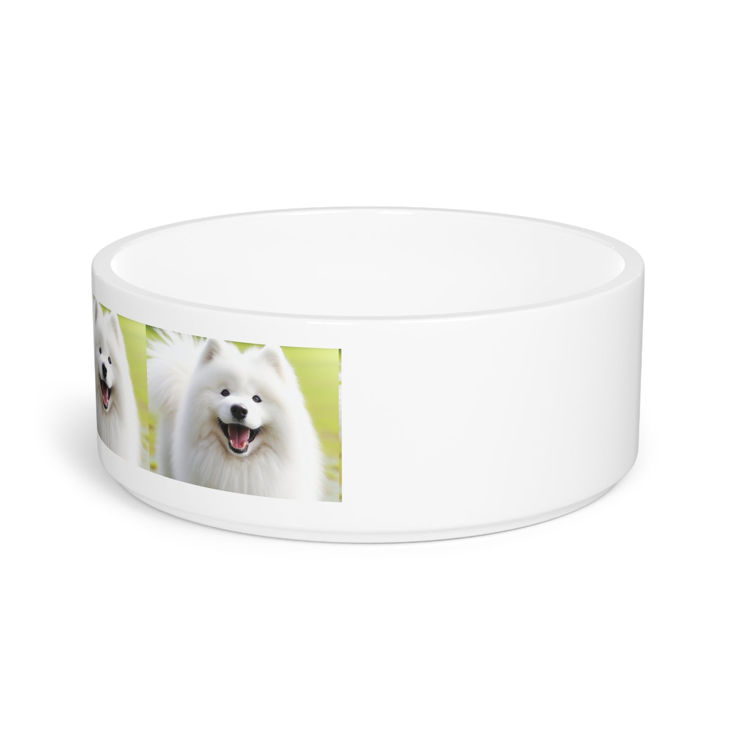 Samoyed Pet Bowl