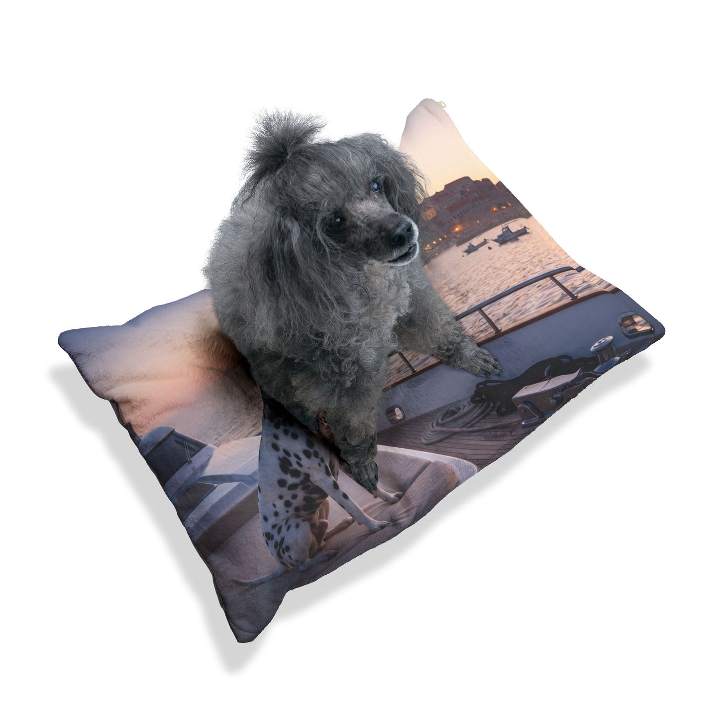 Dalmatian Pet Bed