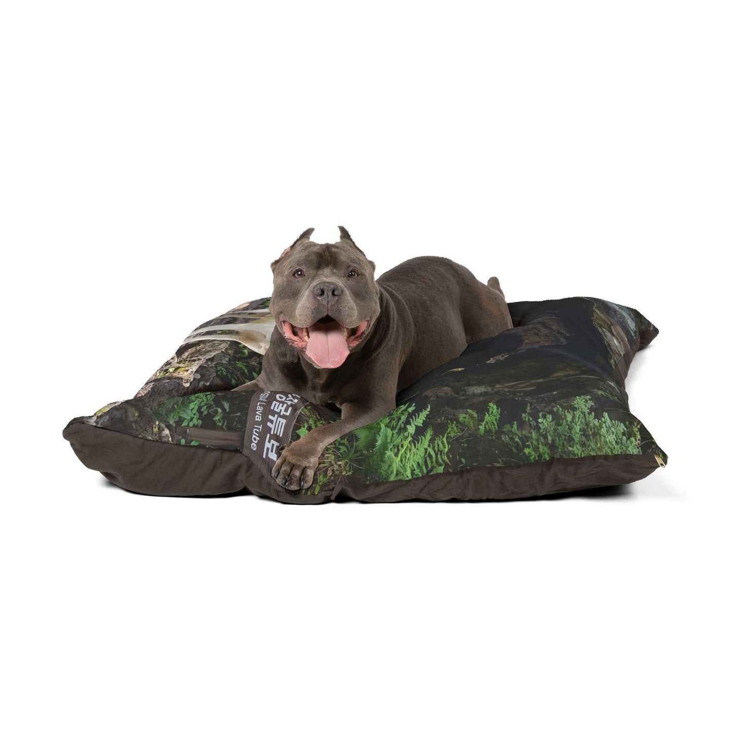 Korean Jindo Dog Pet Bed