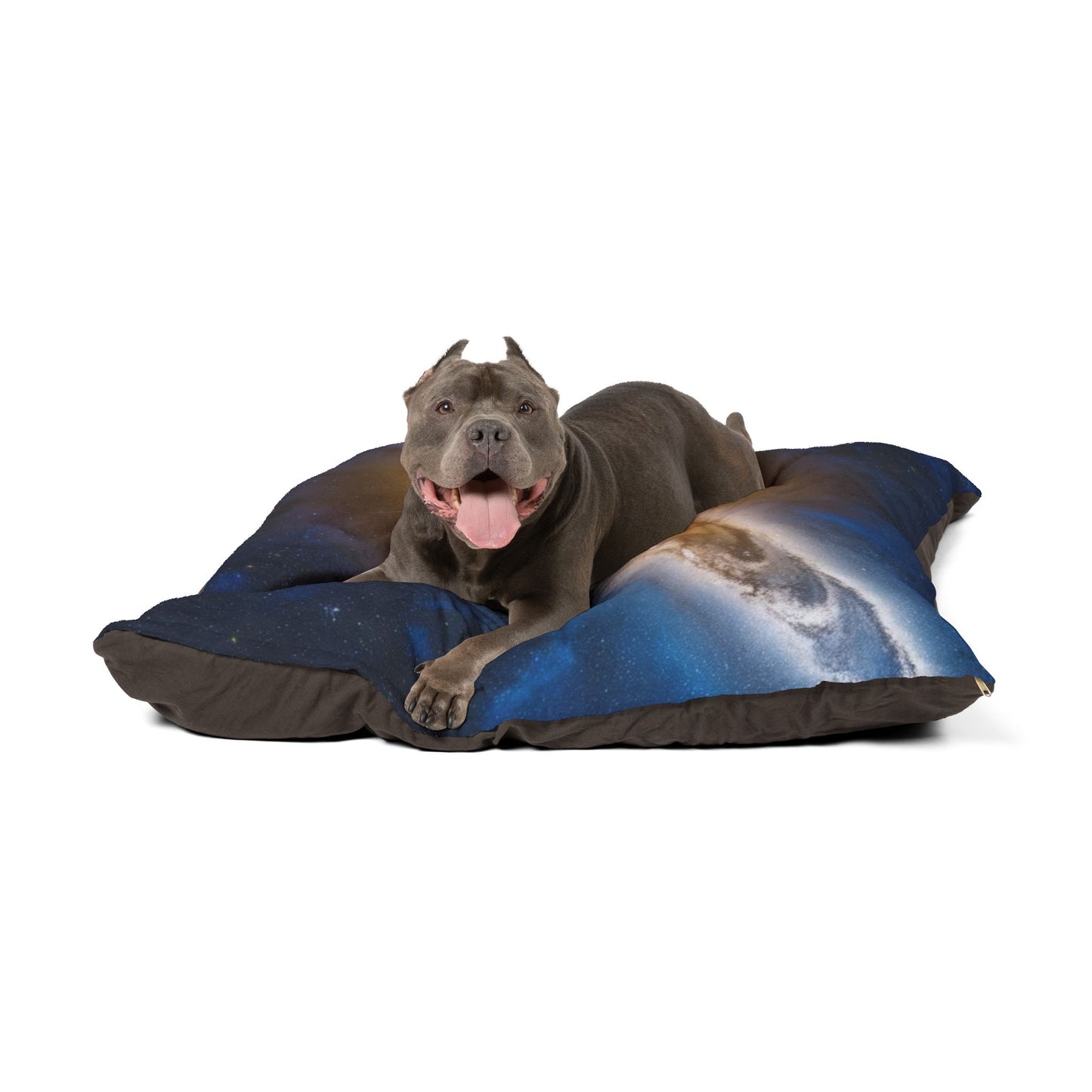 North Star Pet Bed