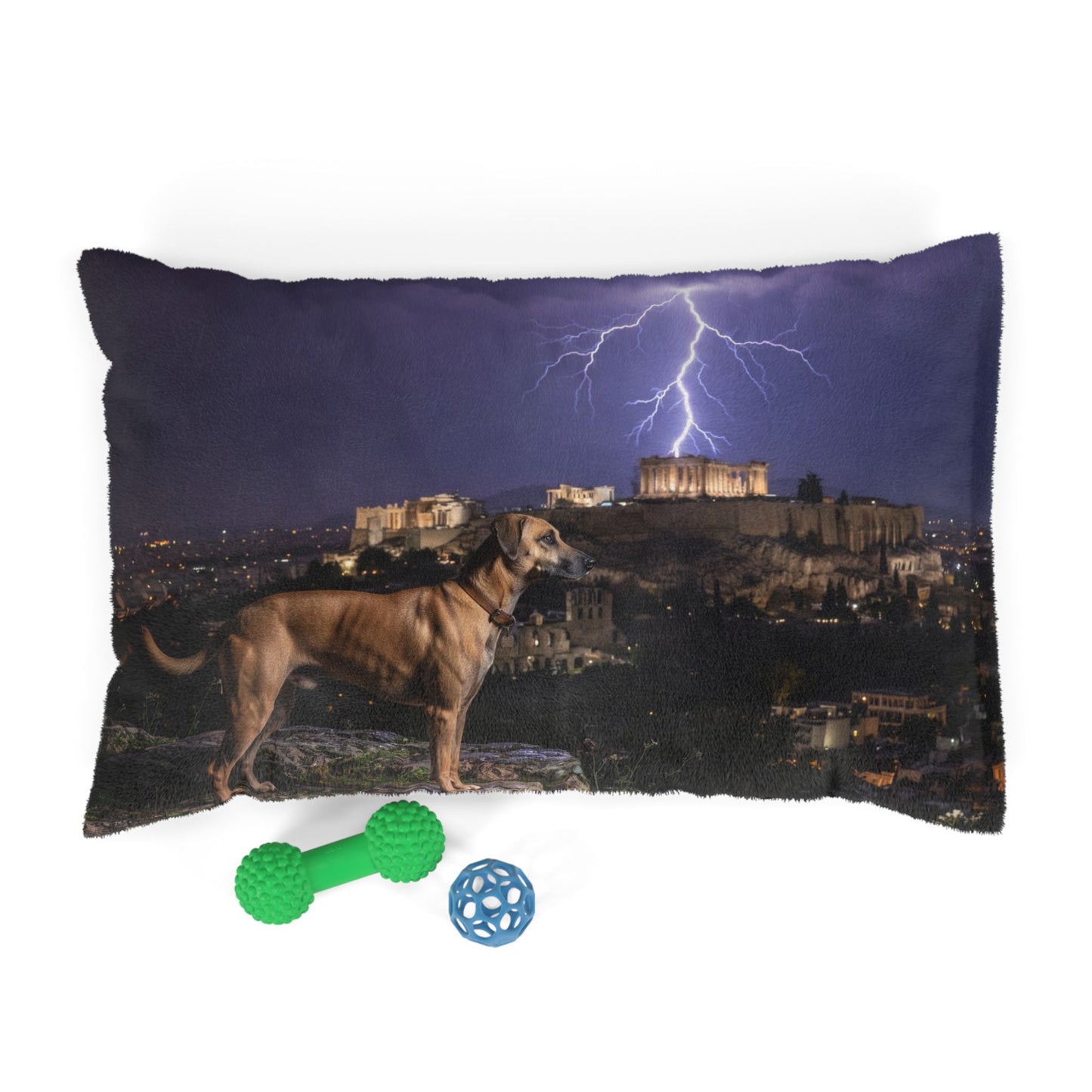 Kritikos Lagonikos Pet Bed