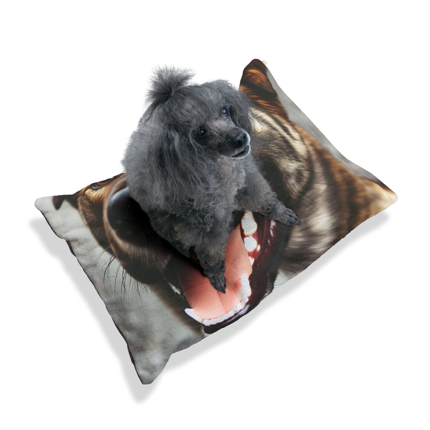 Kai Ken Pet Bed
