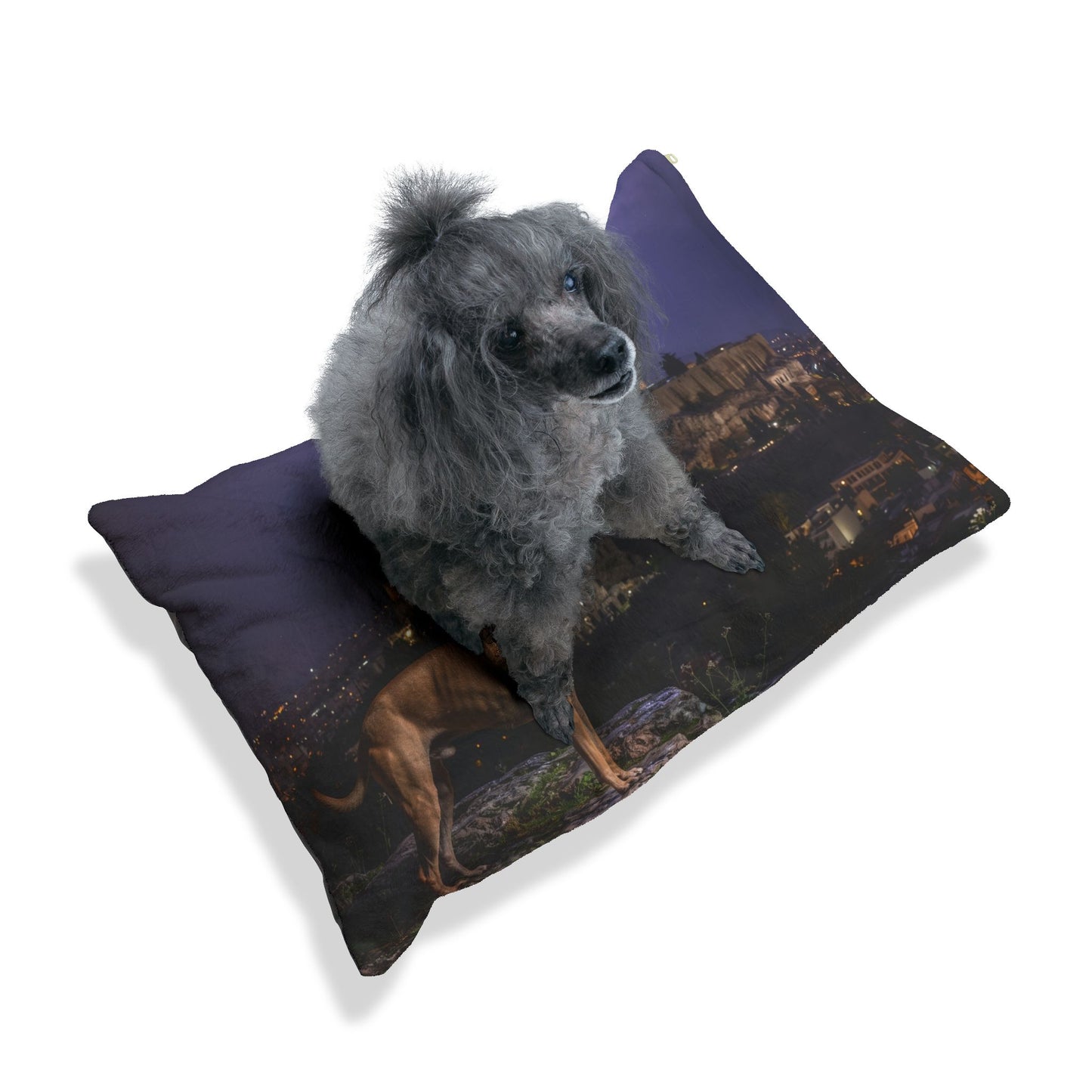 Kritikos Lagonikos Pet Bed