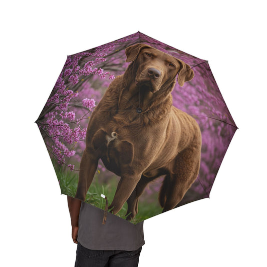 Chesapeake Bay Retriever Semi-Automatic Foldable Umbrella