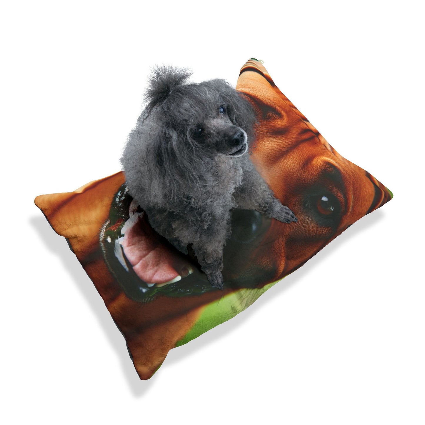 Rhodesian Ridgeback Pet Bed