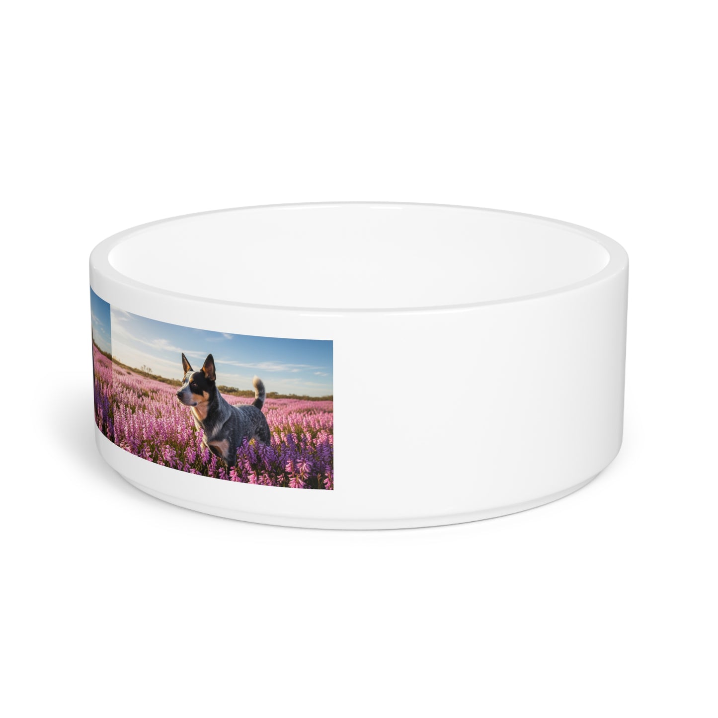 Australian Stumpy Tail Cattle Dog Pet Bowl