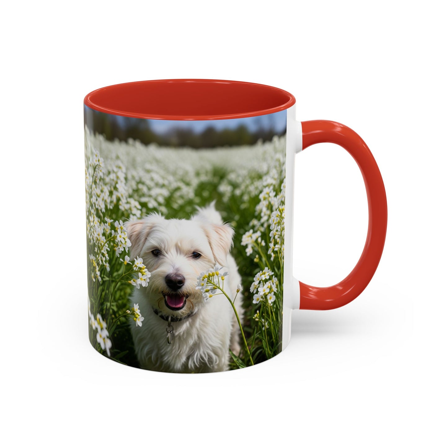 Taza de café con acento Kromfohrlander: el regalo perfecto para los amantes de los perros