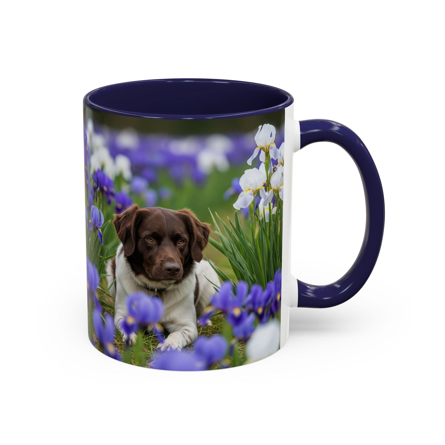 Mug Stabyhouns Accent - Cadeau idéal pour les amoureux des chiens