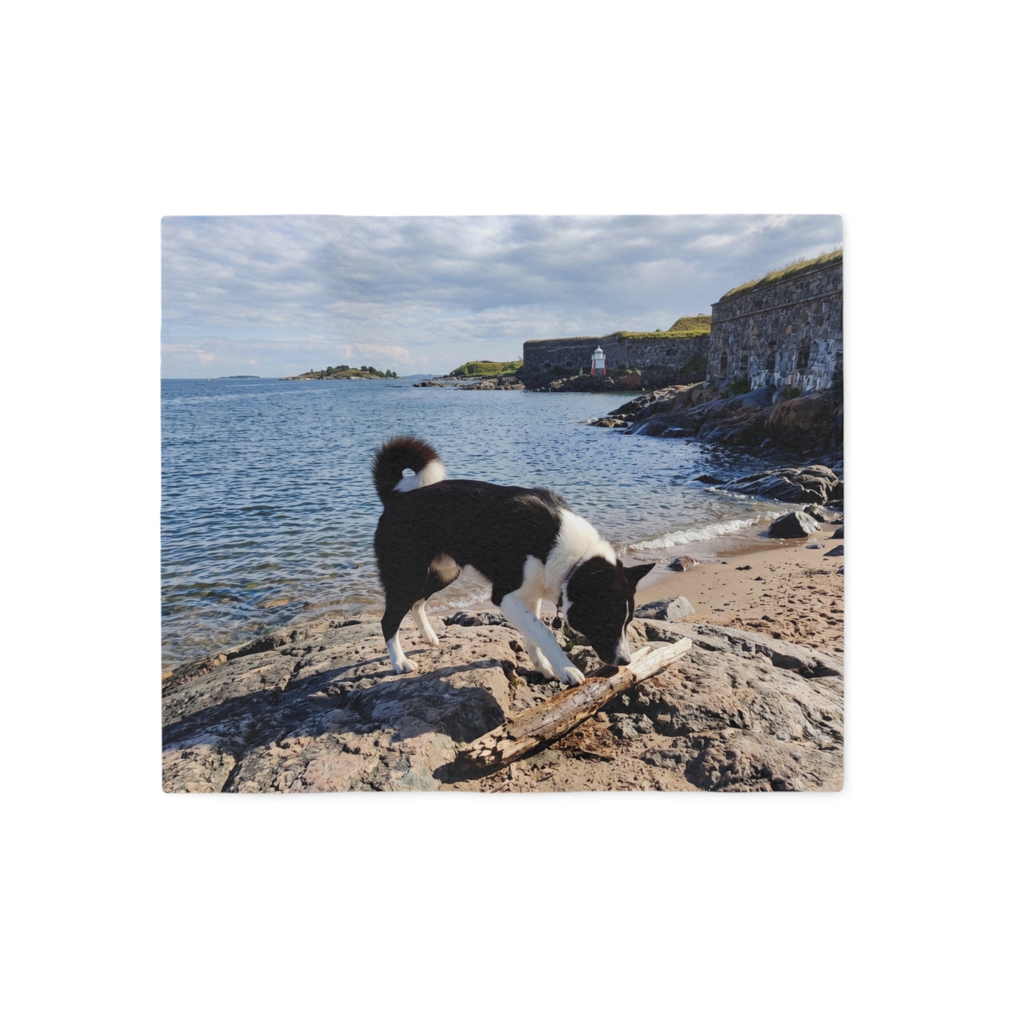 Karelian Bear Dog Blanket