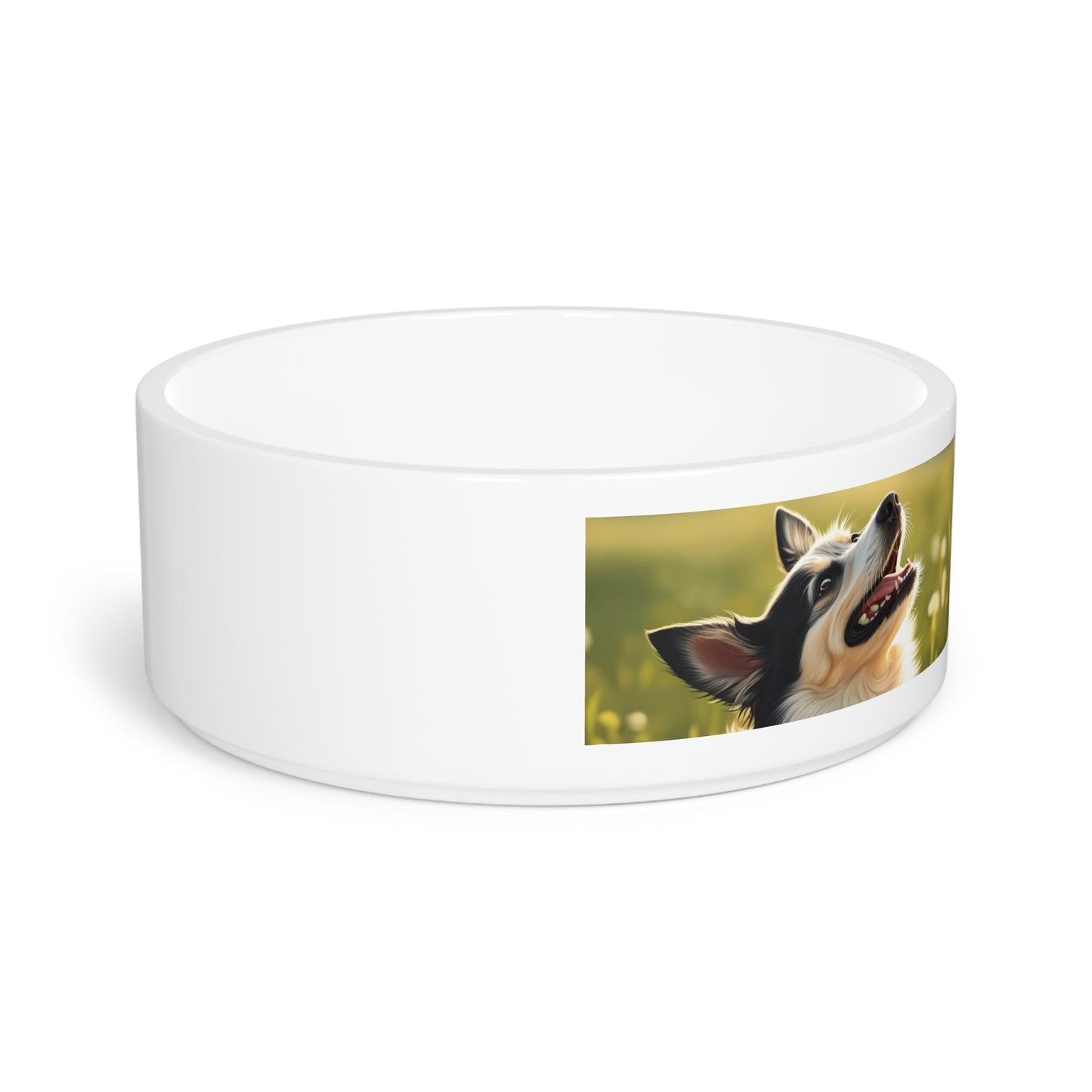 Swedish Vallhund Pet Bowl