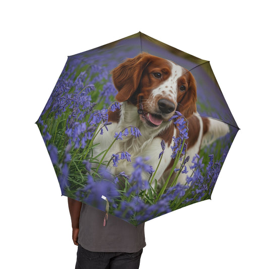 Welsh Springer Spaniel Semi-Automatic Foldable Umbrella