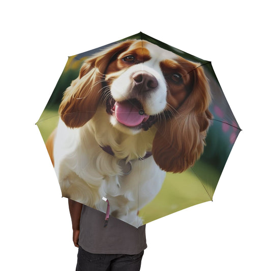 King Charles Spaniel Semi-Automatic Foldable Umbrella