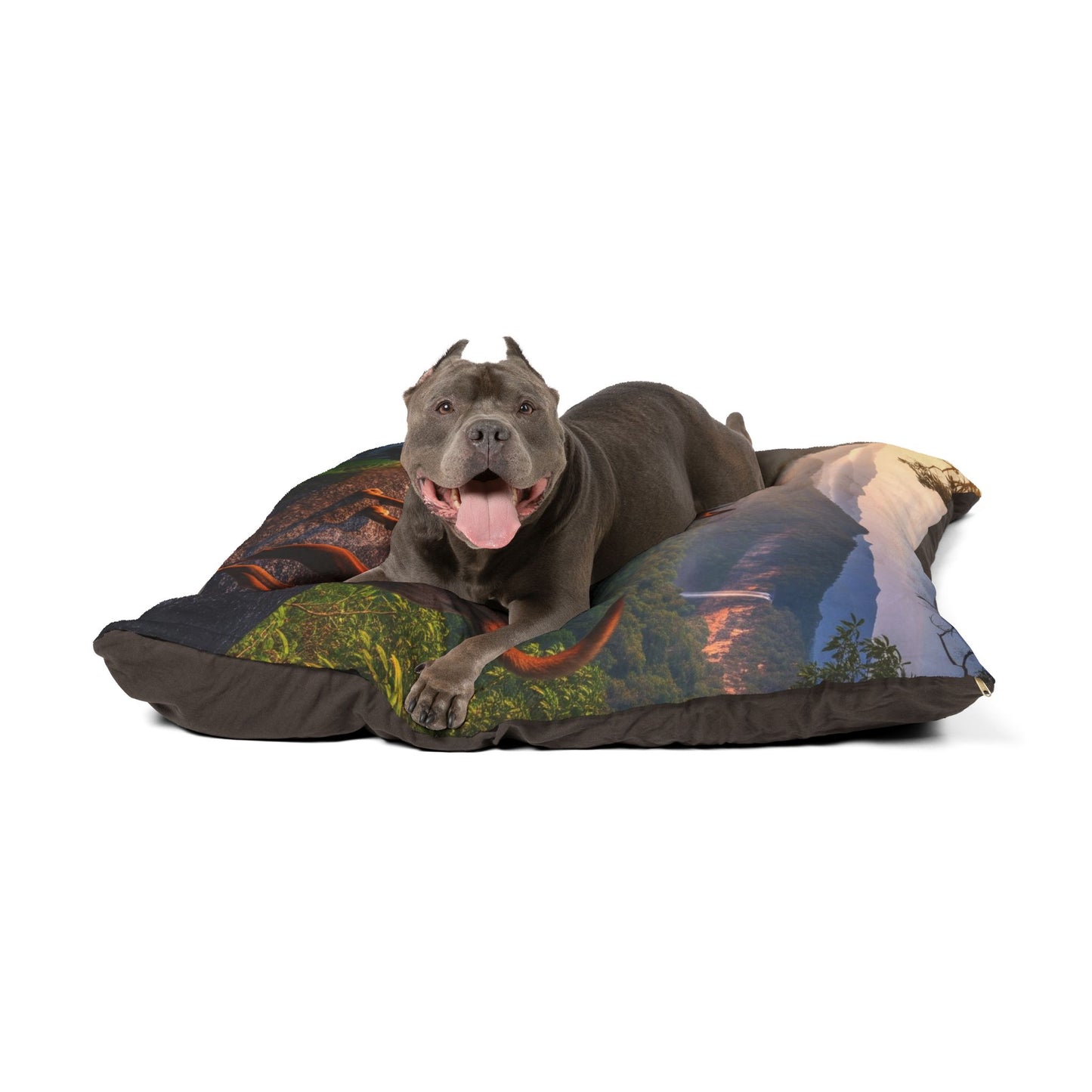 Thai Ridgeback Dog Bed