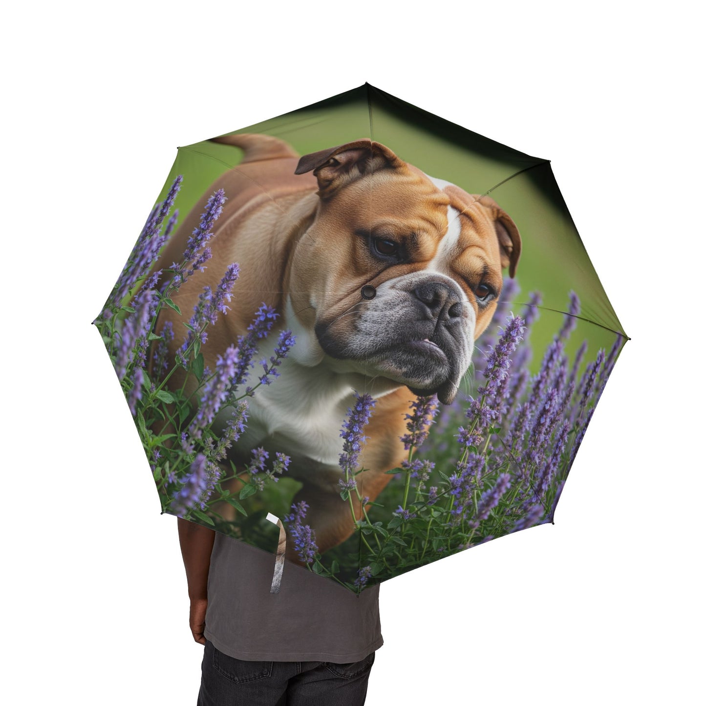 Paraguas plegable semiautomático Bulldog británico