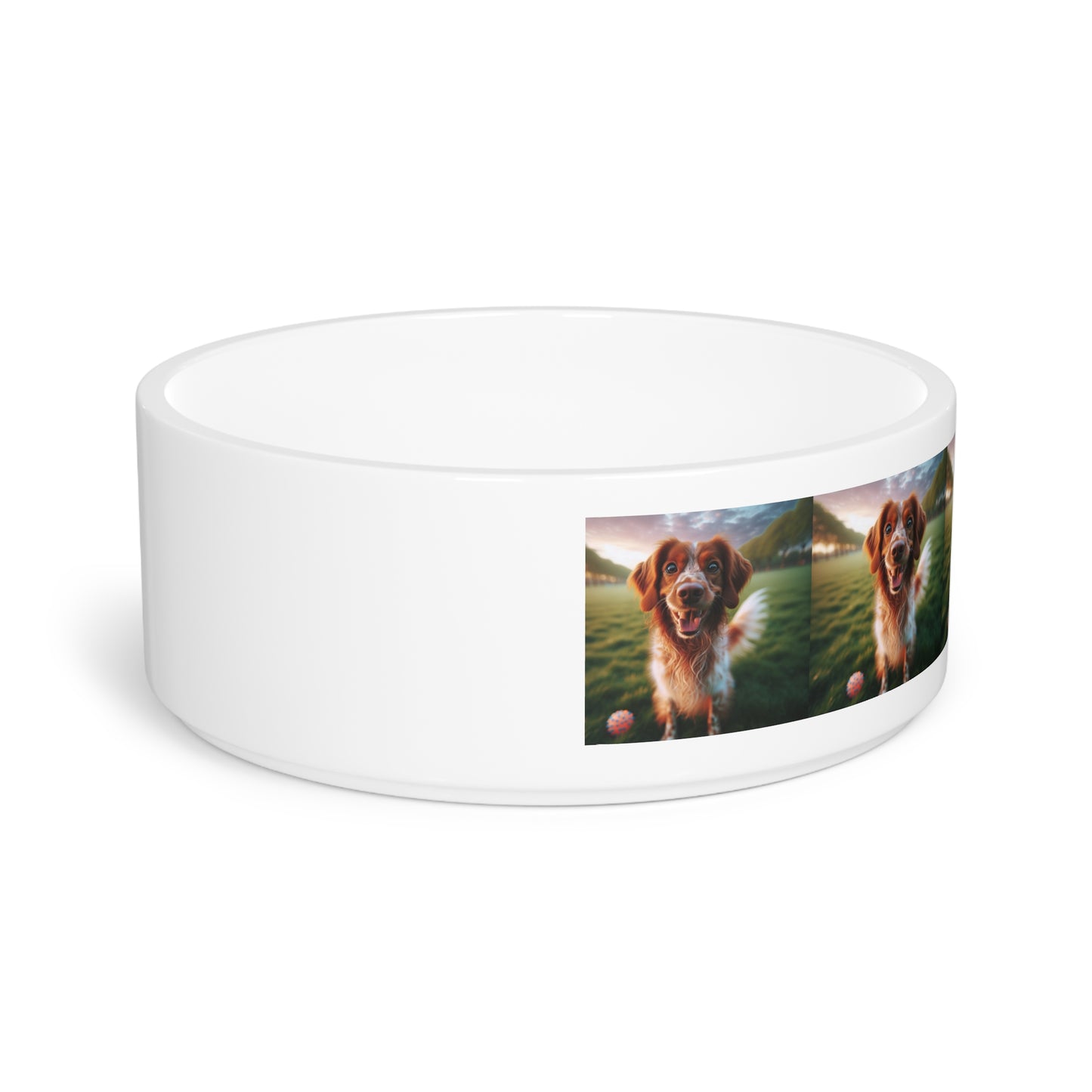 Brittany Dog Pet Bowl