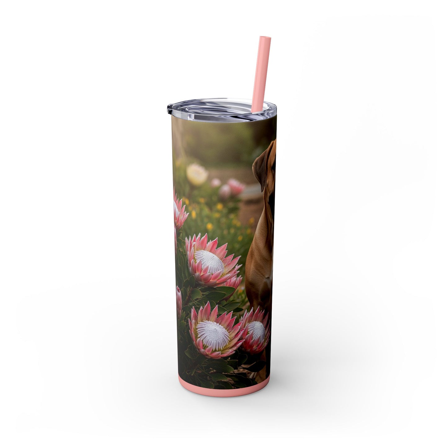 Boerboels Tumbler with Straw, 20oz