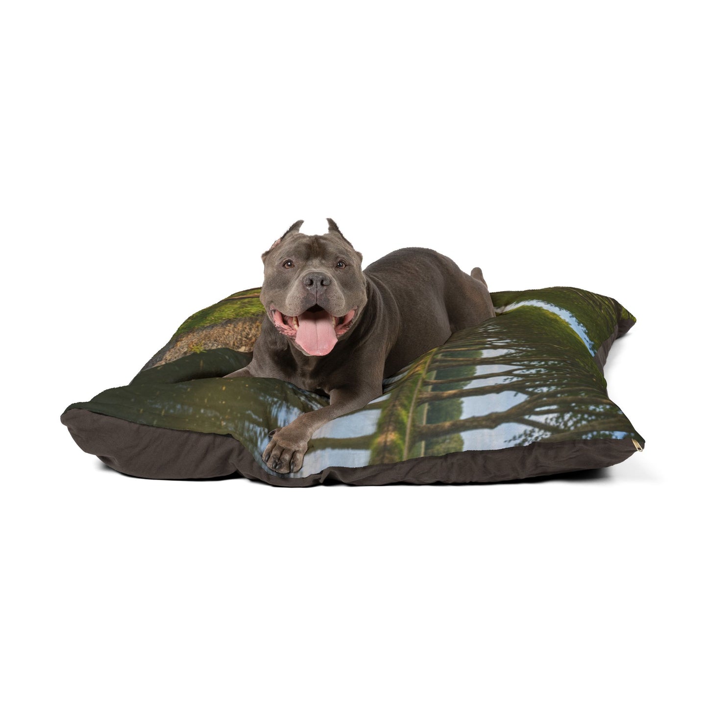 Picardy Spaniel Pet Bed
