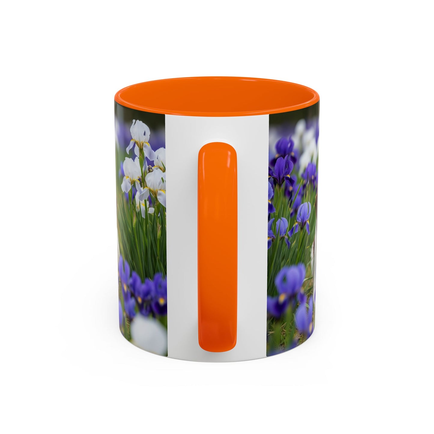 Mug Stabyhouns Accent - Cadeau idéal pour les amoureux des chiens