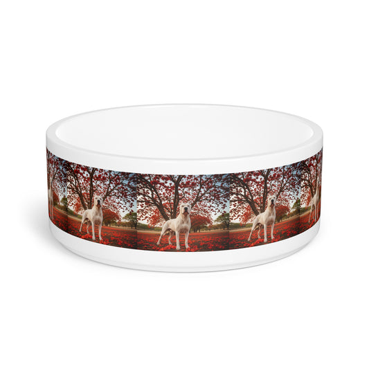Dogo Argentino Pet Bowl