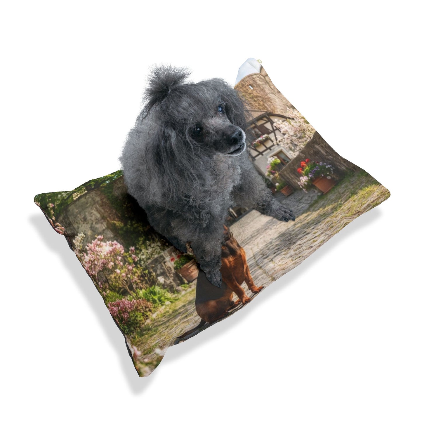 Alpine Dachsbracke Pet Bed