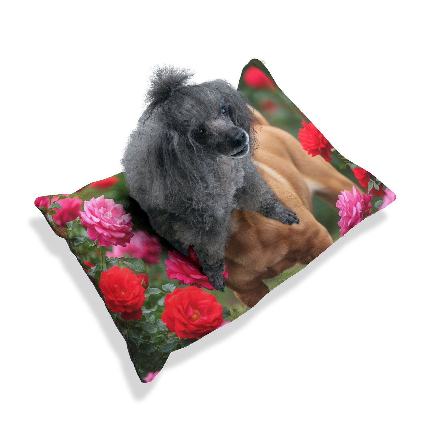 Ori Pei Pet Bed