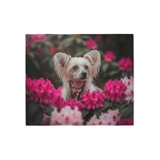 Chinese Crested Sweatshirt Blanket
