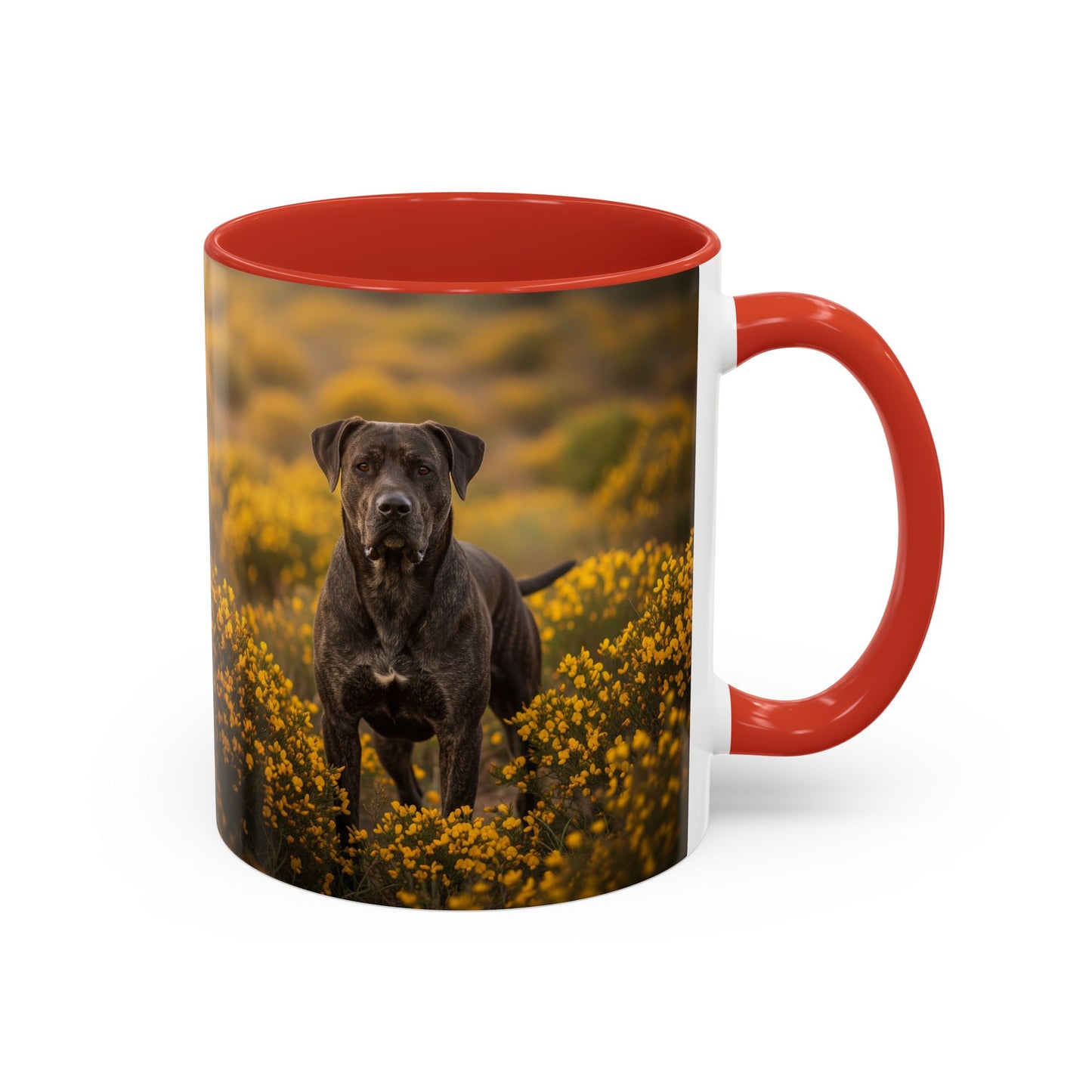 Mug Rafeiro do Alentejo Accent Coffee - Cadeau idéal pour les amoureux des chiens