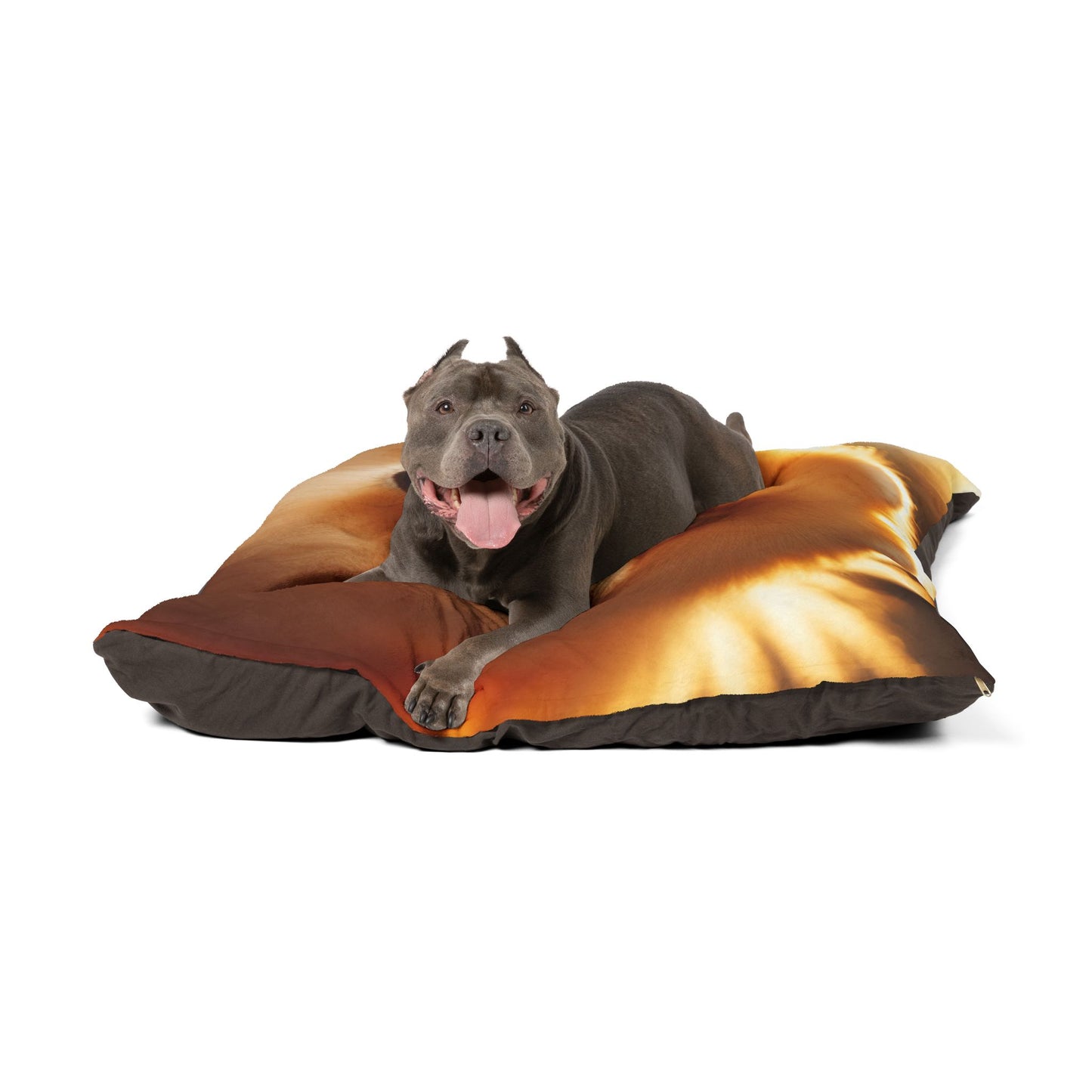 Pomeranian Pet Bed