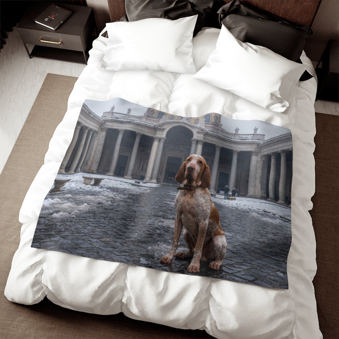 Bracco Italiano Blanket