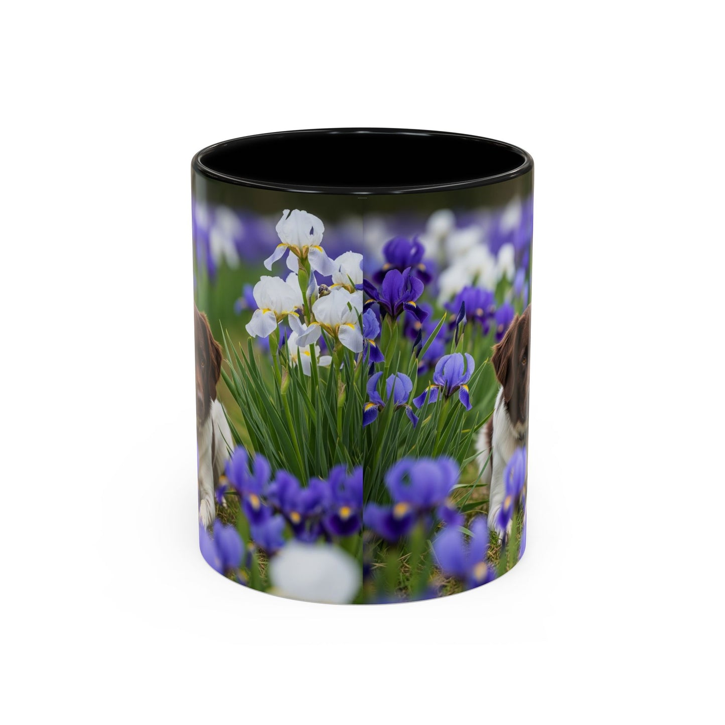 Mug Stabyhouns Accent - Cadeau idéal pour les amoureux des chiens