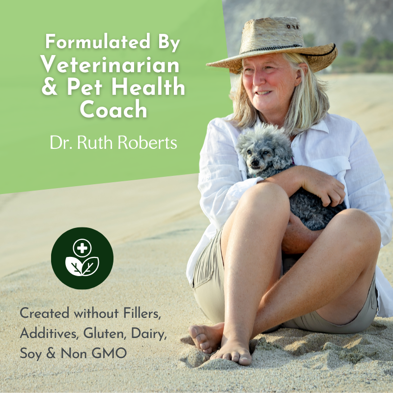 Apoyo holístico para todo el cuerpo: multivitamínico y apoyo glandular para perros y gatos