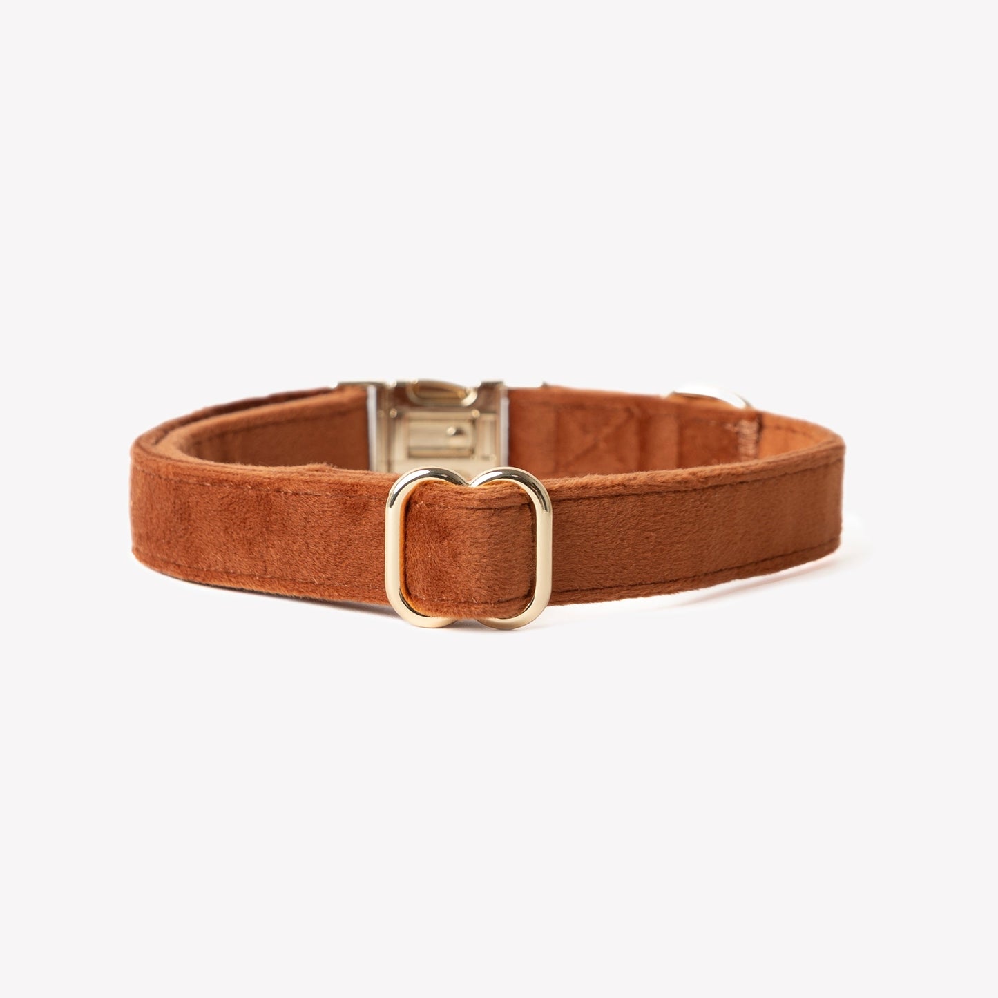 'Clay' - Collar de terciopelo para perro