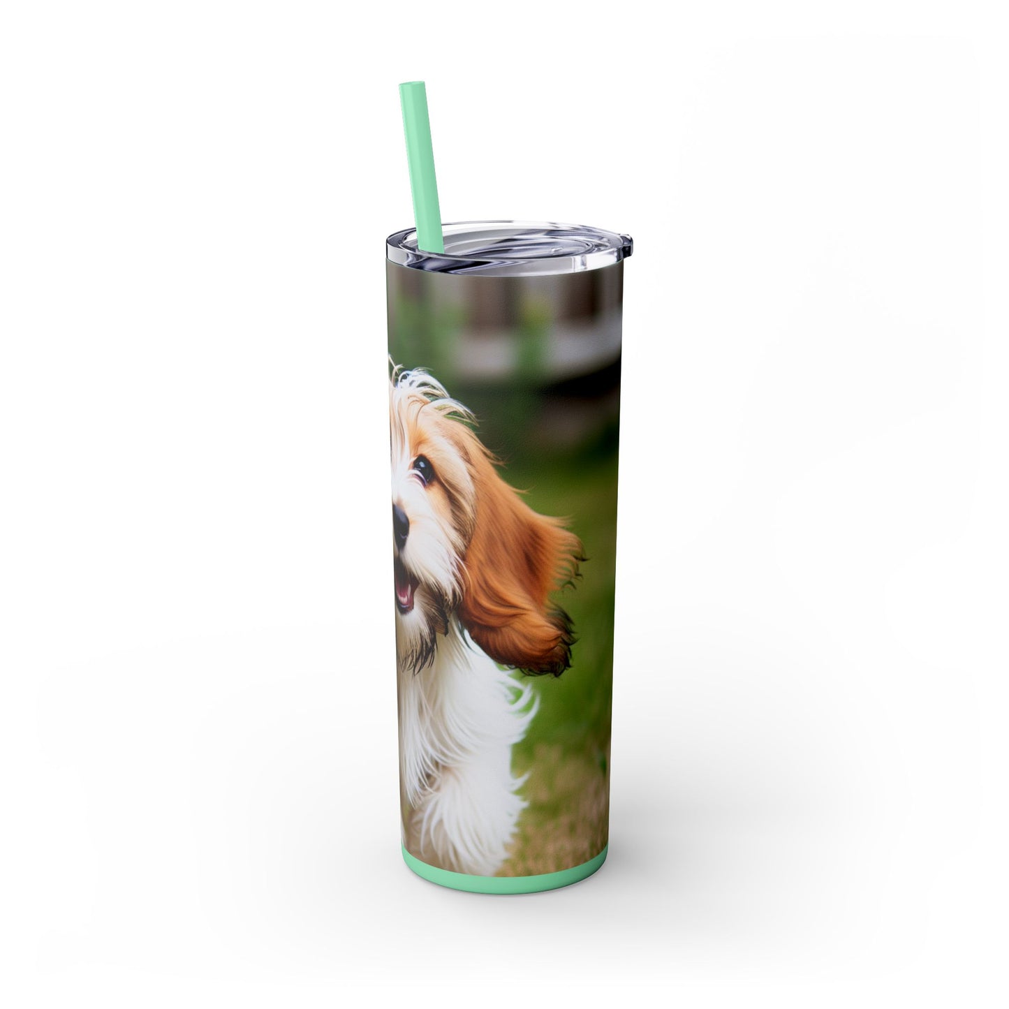 Petit Basset Griffon Vendeen Skinny Tumbler with Straw, 20oz