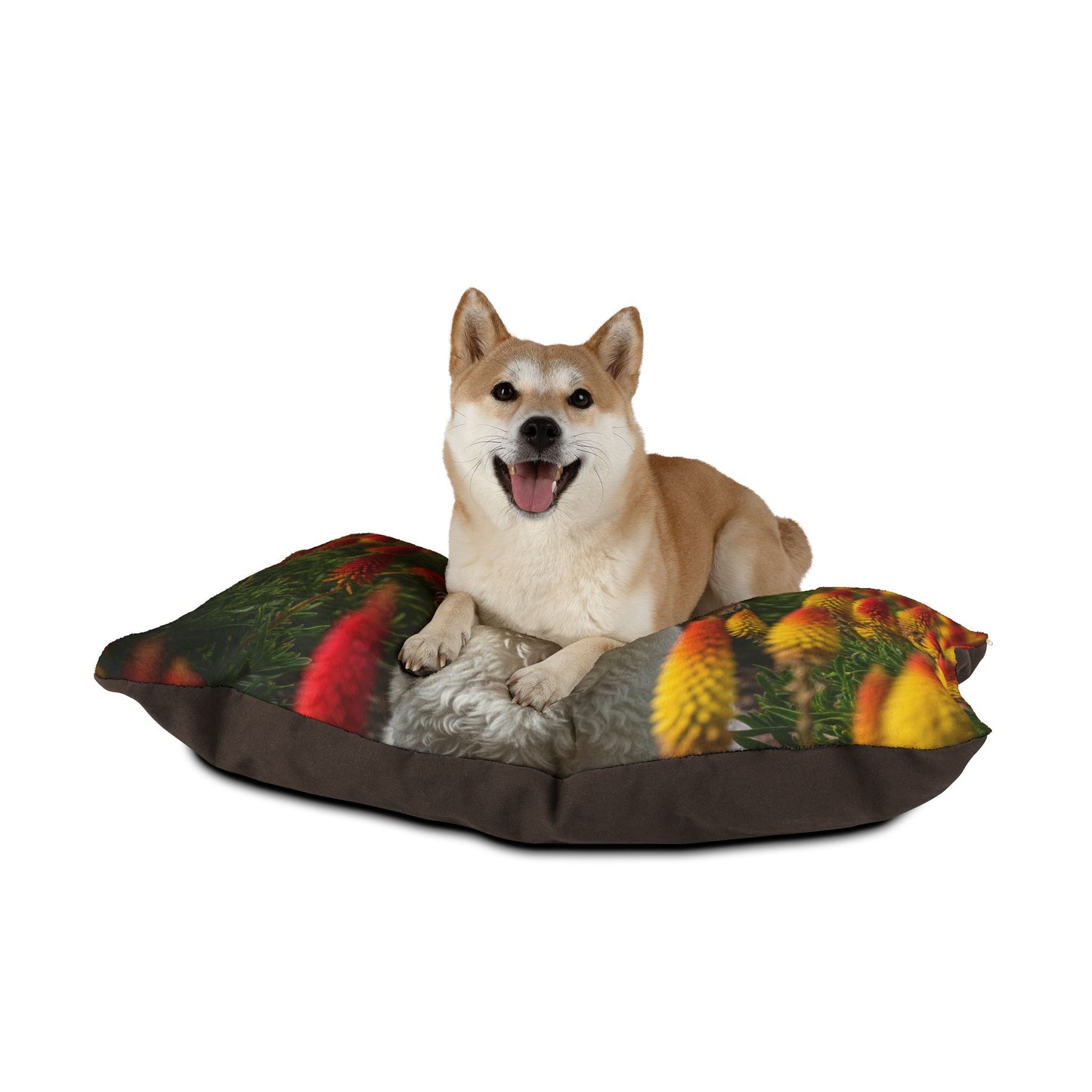 Bichonpoo Pet Bed