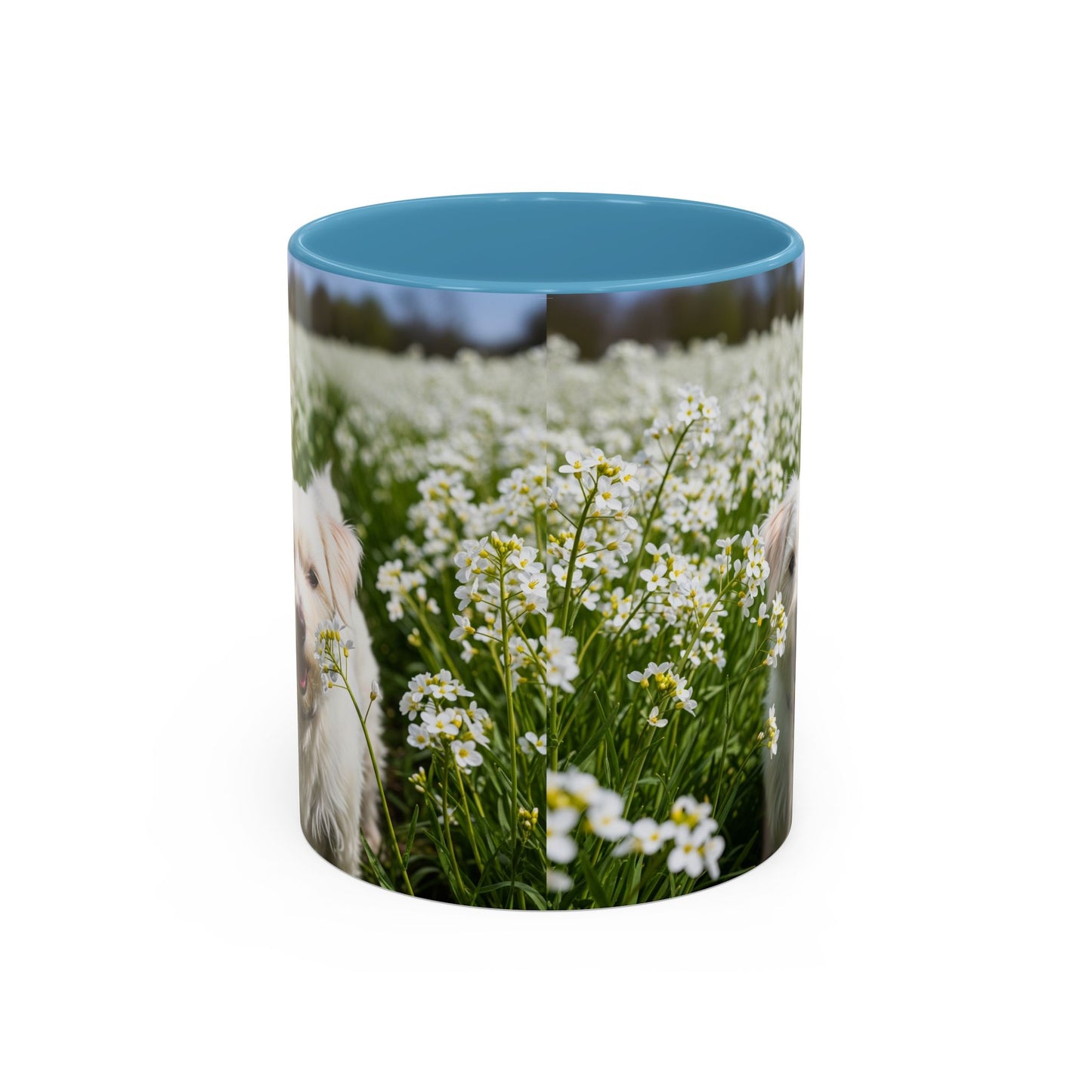 Taza de café con acento Kromfohrlander: el regalo perfecto para los amantes de los perros