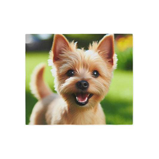 Norwich Terrier Sweatshirt Blanket