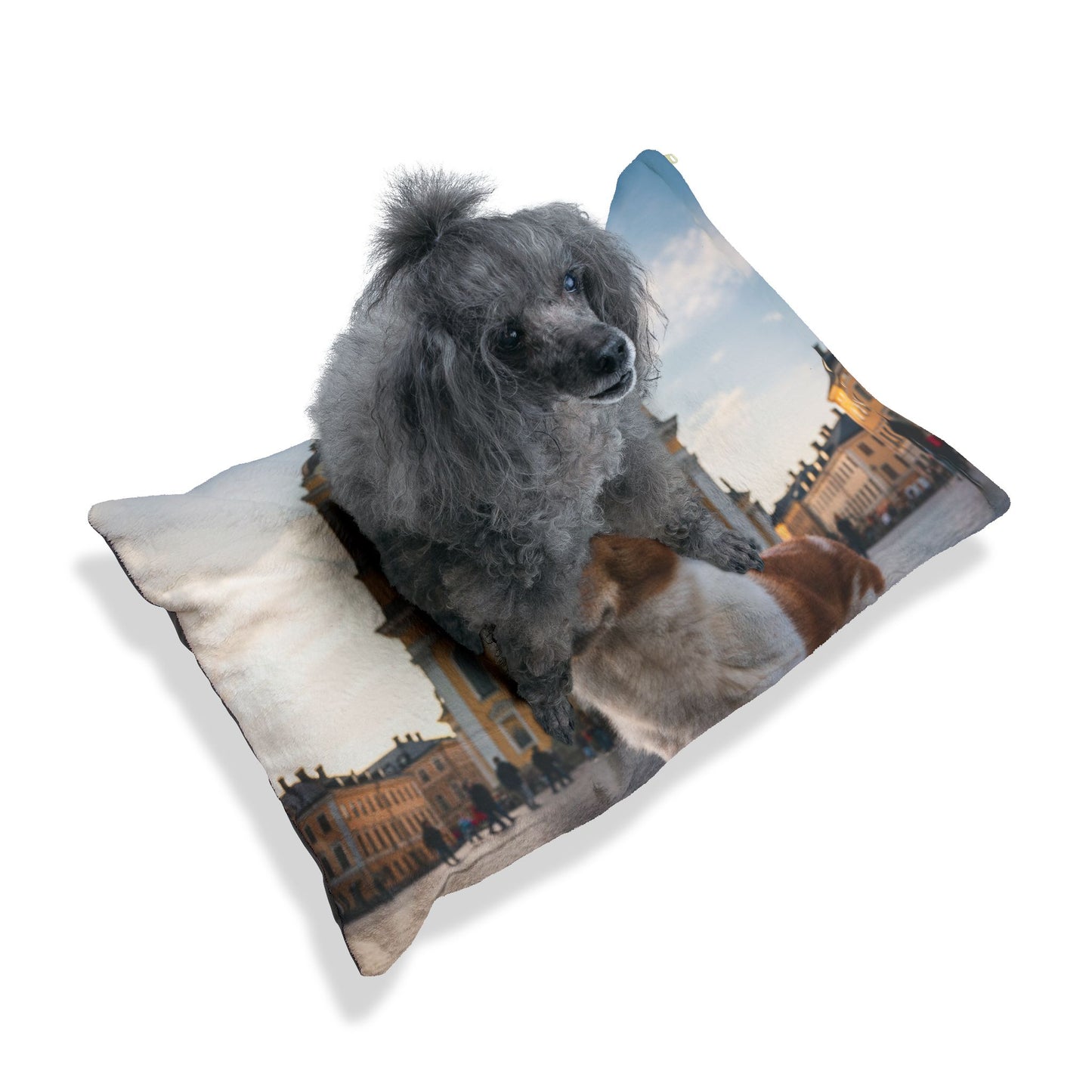 Norrbottenspets Pet Bed