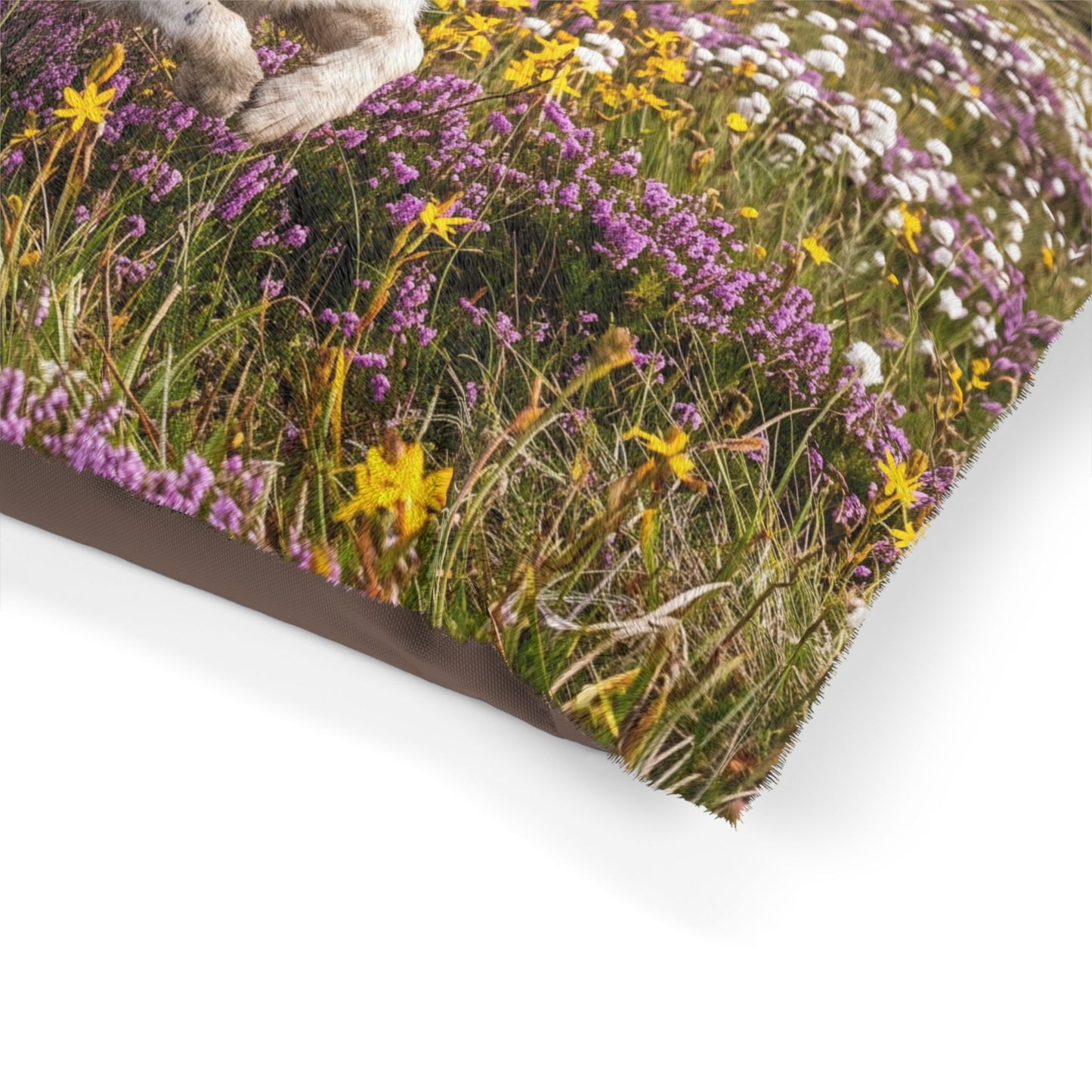 Border Collie Pet Bed