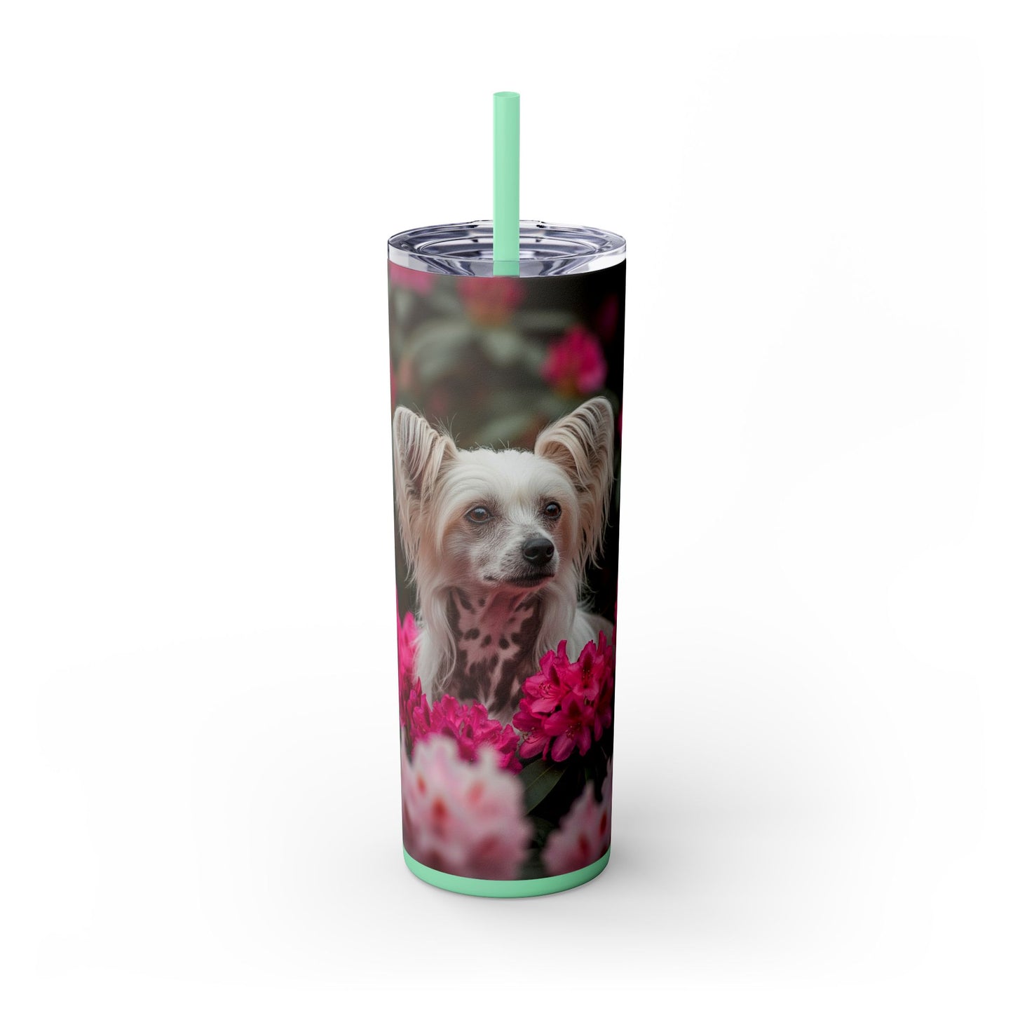 Skinny Tumbler with Straw – 20 oz Stainless Steel Cup