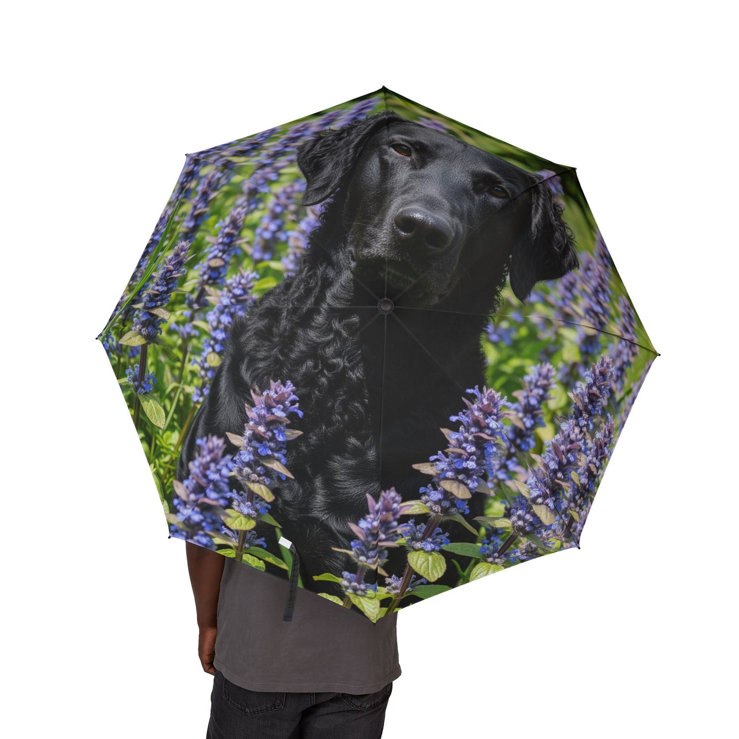 Parapluie pliant semi-automatique à l'effigie d'un retriever à poil frisé
