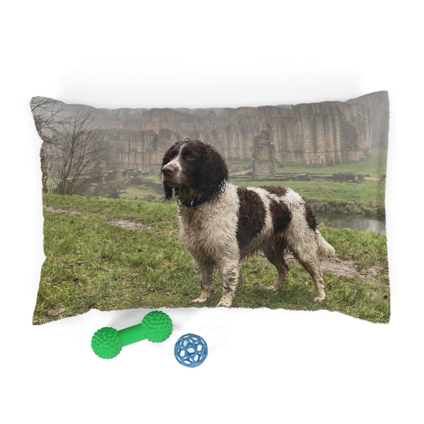 English Water Spaniel Pet Bed