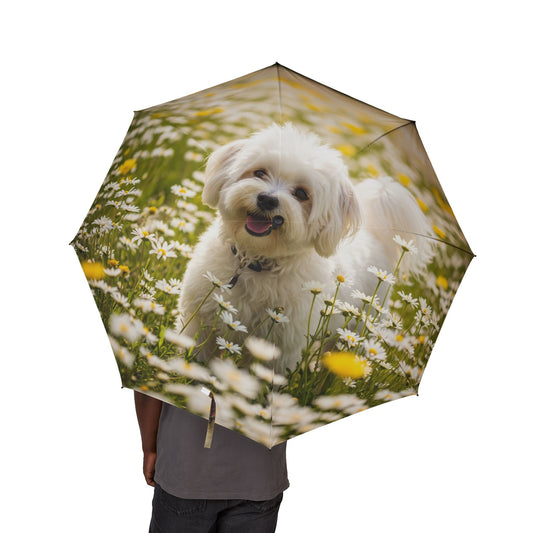 Lowchen Semi-Automatic Foldable Umbrella