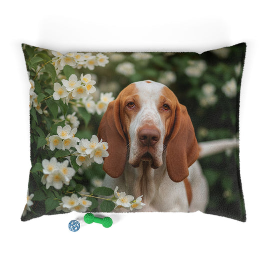 Bracco Italiano Pet Bed