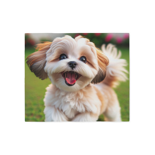 Shih-poo Sweatshirt Blanket